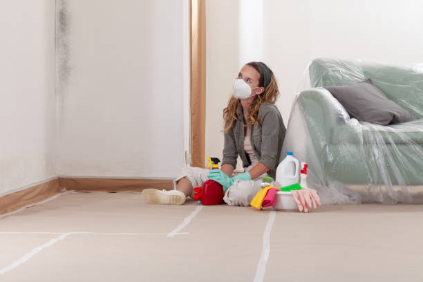 Reliable Mold Cleanup contractor in Ferndale, MI by WQB Mold Removal